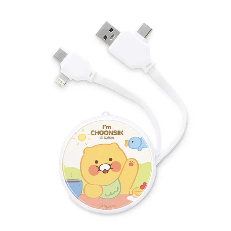 GARMMA Kakao Friends PD Fast Charge Lightning+Type-C Extracted Extension Cable