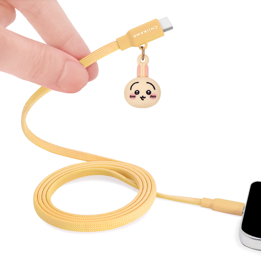 GARMMA Chiikawa 60W Type-C to Type-C Magnetic PD Fast Charging Cable