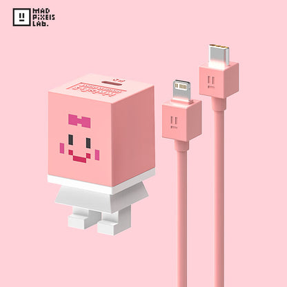 Mfish Mad Pixels Lab 30W GaN PD Fast Charging Kit