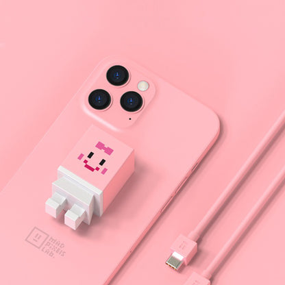 Mfish Mad Pixels Lab 30W GaN PD Fast Charging Kit