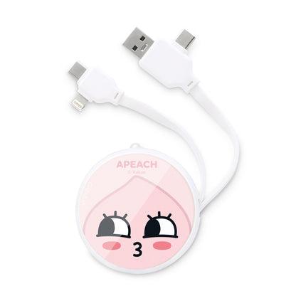GARMMA Kakao Friends PD Fast Charge Lightning+Type-C Extracted Extension Cable