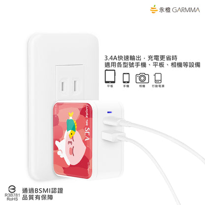 GARMMA Kakao Friends Type-C+USB 3.4A Quick Charge Foldable Travel Charger